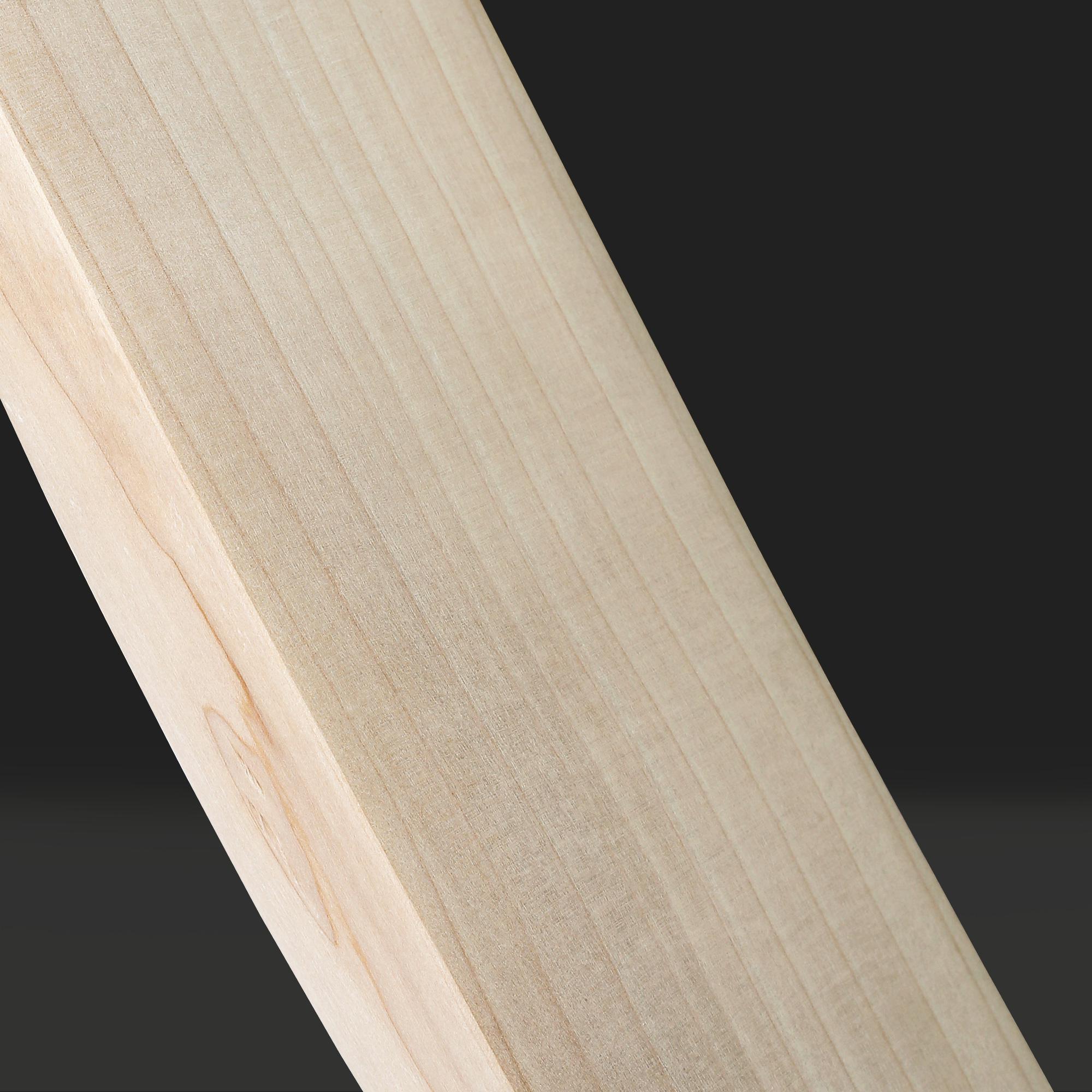 Z-12 - English Willow Bat