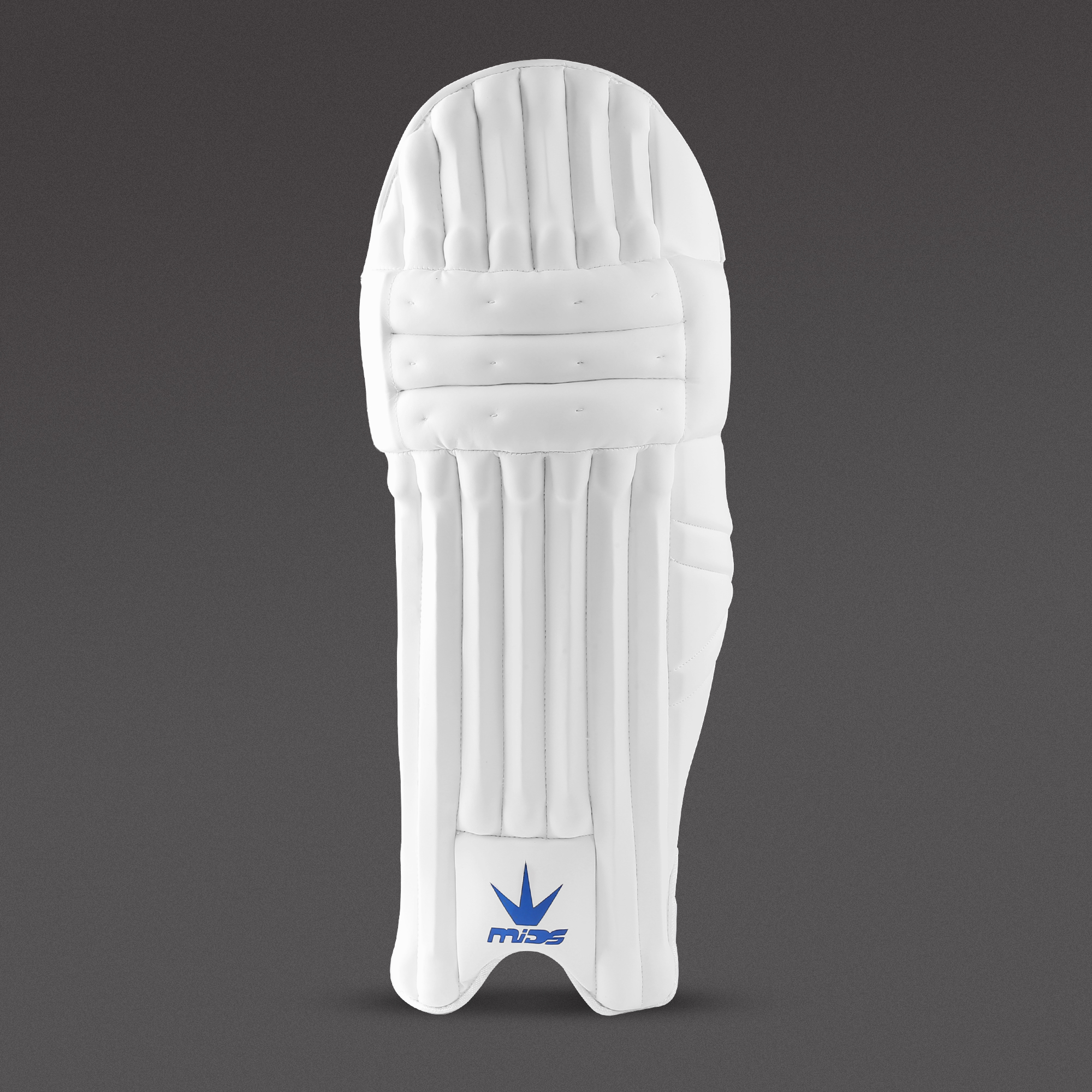 LEGACY 3* (BLUE) - Batting Pads