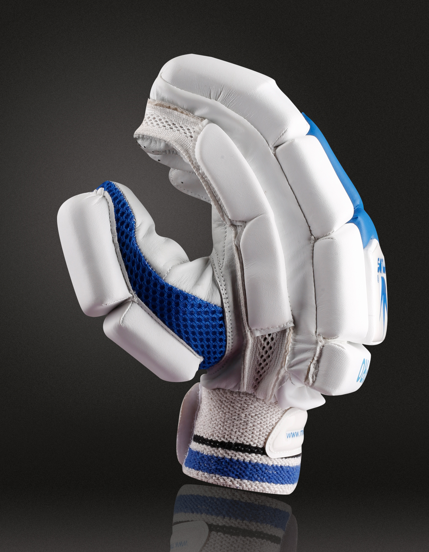 PRO - Batting Gloves - 2023