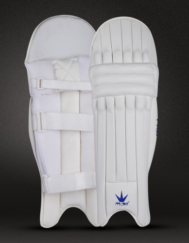 Wicket keeping Gloves